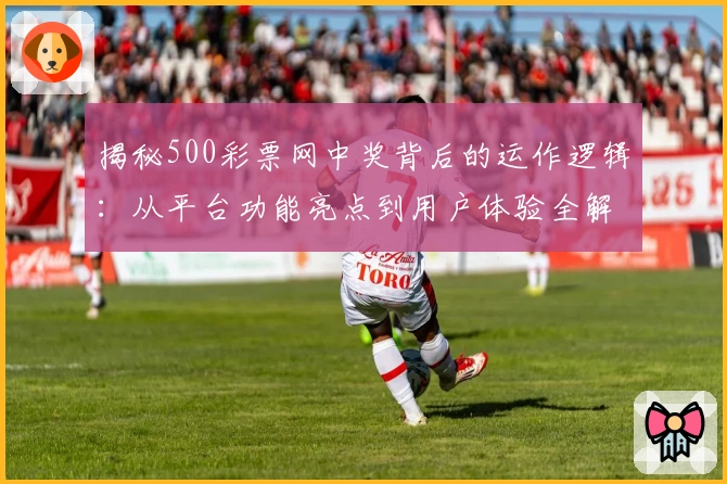 揭秘500彩票网中奖背后的运作逻辑：从平台功能亮点到用户体验全解析