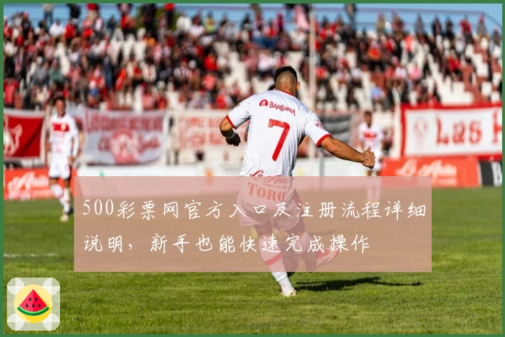 500彩票网官方入口及注册流程详细说明，新手也能快速完成操作